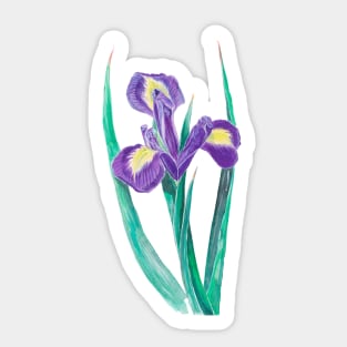 Siberian iris Sticker